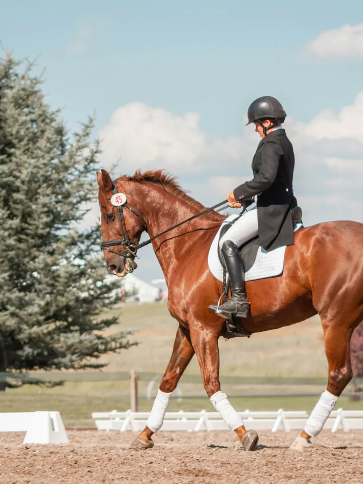 Equestrian — Sportify digital solutions