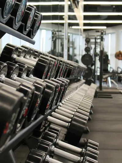 Fitness — Sportify digital solutions