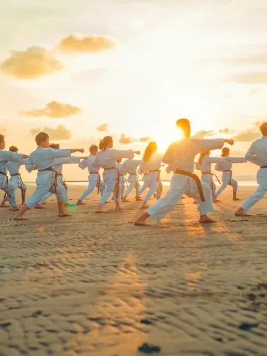 Karate — Sportify digital solutions