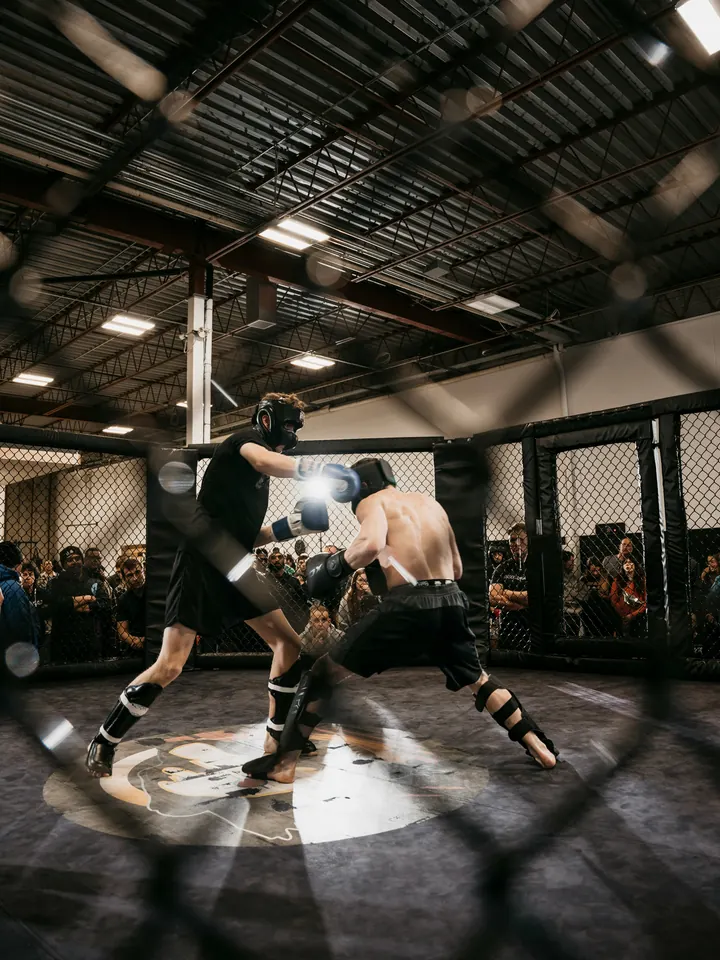 MMA — Sportify digital solutions